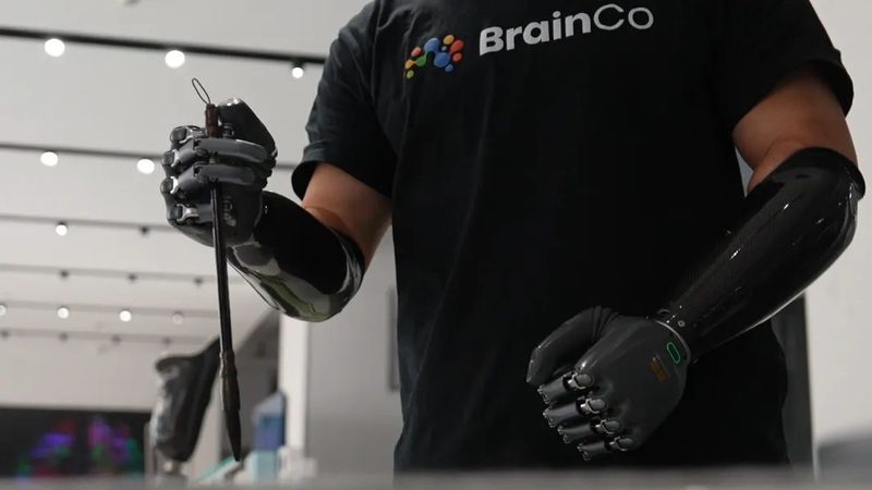 移动端数据安全：揭秘十大品牌背后的技术密码**